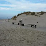 Lägenhet In North Holland Near *