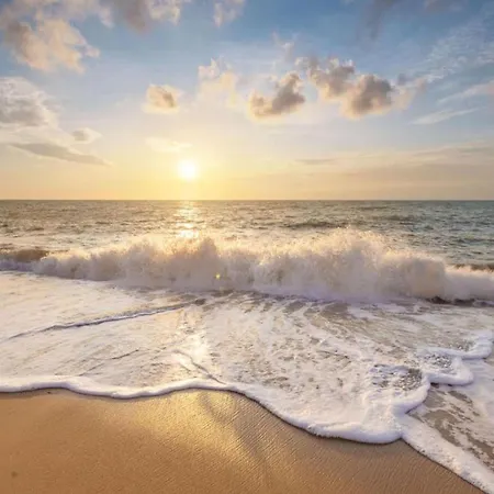 In North Holland Near Appartement