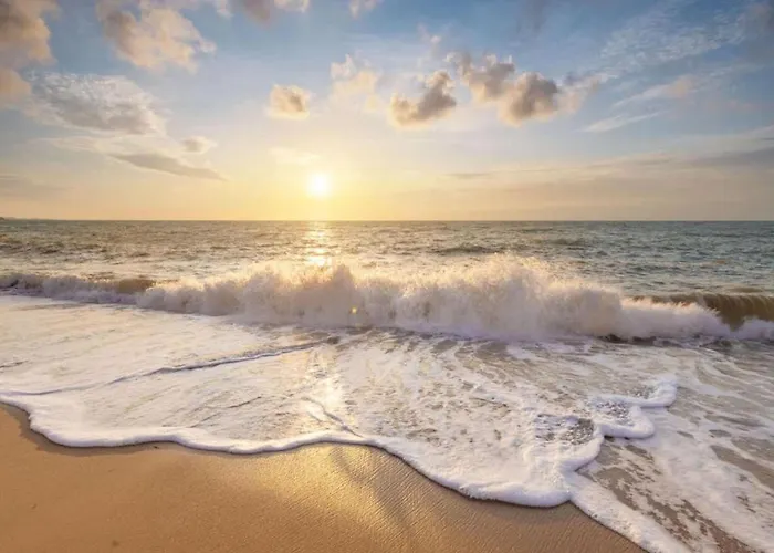 In North Holland Near Appartement