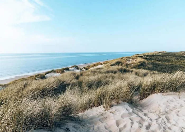 In North Holland Near *