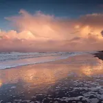 In North Holland Near Apartment