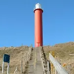 In North Holland Near