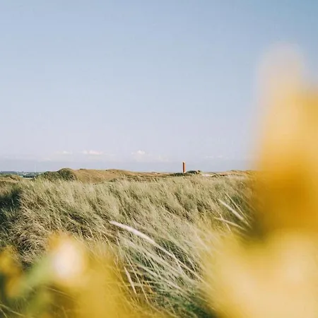 Lägenhet In North Holland Near *