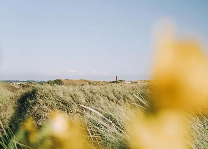 Lägenhet In North Holland Near *