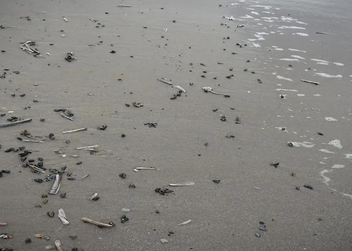 In North Holland Near *