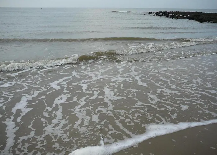 Lägenhet In North Holland Near